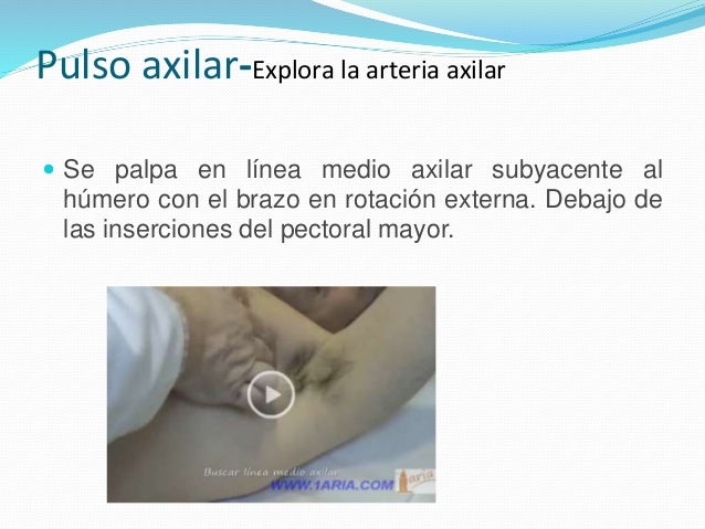 Pulso axilar-Explora la arteria axilar 
 Se palpa en línea medio axilar subyacente al 
húmero con el brazo en rotación ex...