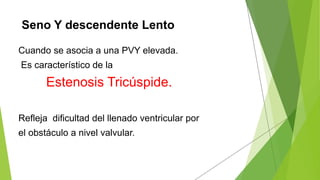 Seno Y descendente Lento
Cuando se asocia a una PVY elevada.
Es característico de la
Estenosis Tricúspide.
Refleja dificultad del llenado ventricular por
el obstáculo a nivel valvular.
 