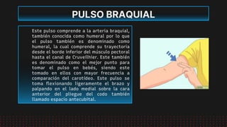 Pulso Triangular Pulso y presión arterial.pptx