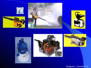 Imágenes : Lanodir S.A.

 