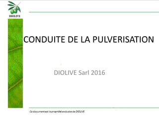 CONDUITE DE LA PULVERISATION
DIOLIVE Sarl 2016
 