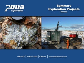 PUMA EXPLORATION
Major Key Player of Zinc Assets
in Canada
www.explorationpuma.comPUMACL-SSEV PUXPF-USPUM-TSXV
 