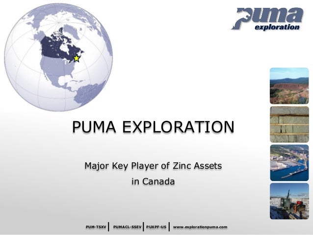 Puma Exploration Inc. - Project Summary