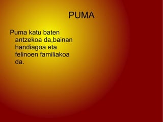 PUMA
Puma katu baten
 antzekoa da,bainan
 handiagoa eta
 felinoen familiakoa
 da.
 