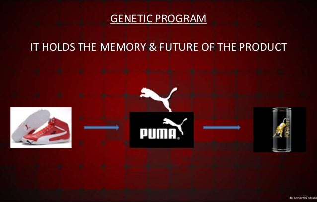introduction of puma company
