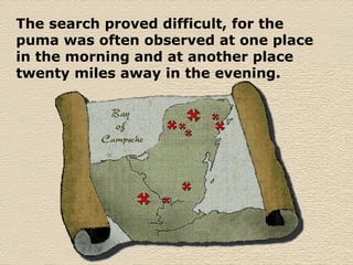 The search proved difficult, for the puma was often observed at one place in the morning and at another place twenty miles away in the evening.  