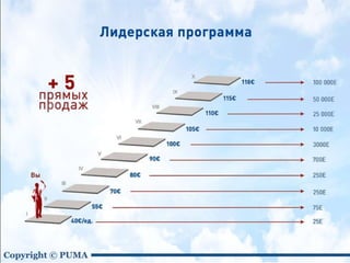 Puma new2 — копия