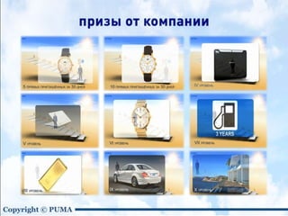 Puma new2 — копия