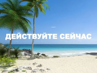 ДЕЙСТВУЙТЕ СЕЙЧАС
 