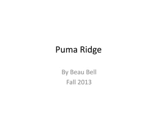 Puma Ridge
By Beau Bell
Fall 2013

 