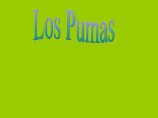 Los Pumas 