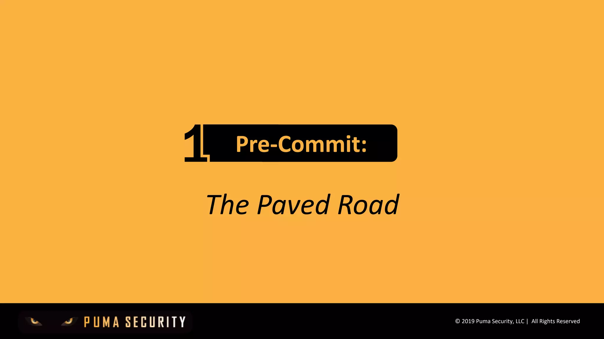© 2019 Puma Security, LLC | All Rights Reserved
Pre-Commit:
The Paved Road
 