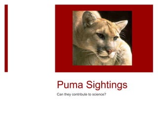 Puma Sightings
Can they contribute to science?
 