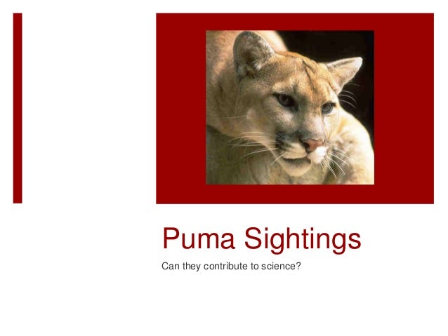surveymonkey puma