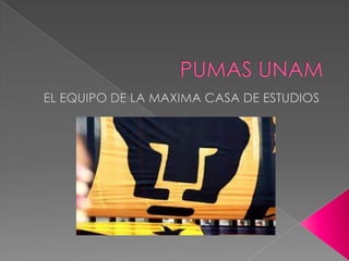 PUMAS UNAM EL EQUIPO DE LA MAXIMA CASA DE ESTUDIOS 