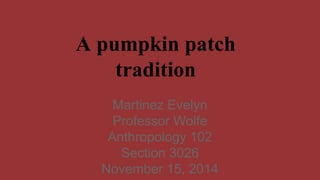 A pumpkin patch 
tradition 
Martinez Evelyn 
Professor Wolfe 
Anthropology 102 
Section 3026 
November 15, 2014 
 
