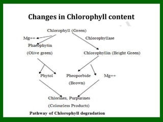 Biochemical changes during post harvest storage of pummelo | PPTX