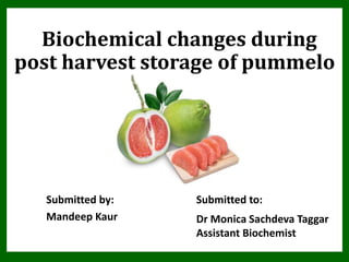 Biochemical changes during
post harvest storage of pummelo
Submitted to:
Dr Monica Sachdeva Taggar
Assistant Biochemist
Submitted by:
Mandeep Kaur
 