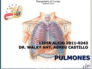 PULMONESPULMONES
LIDIA ALEJO 2011-0243LIDIA ALEJO 2011-0243
DR. WALKY ANT. ABREU CASTILLODR. WALKY ANT. ABREU CASTILLO
 