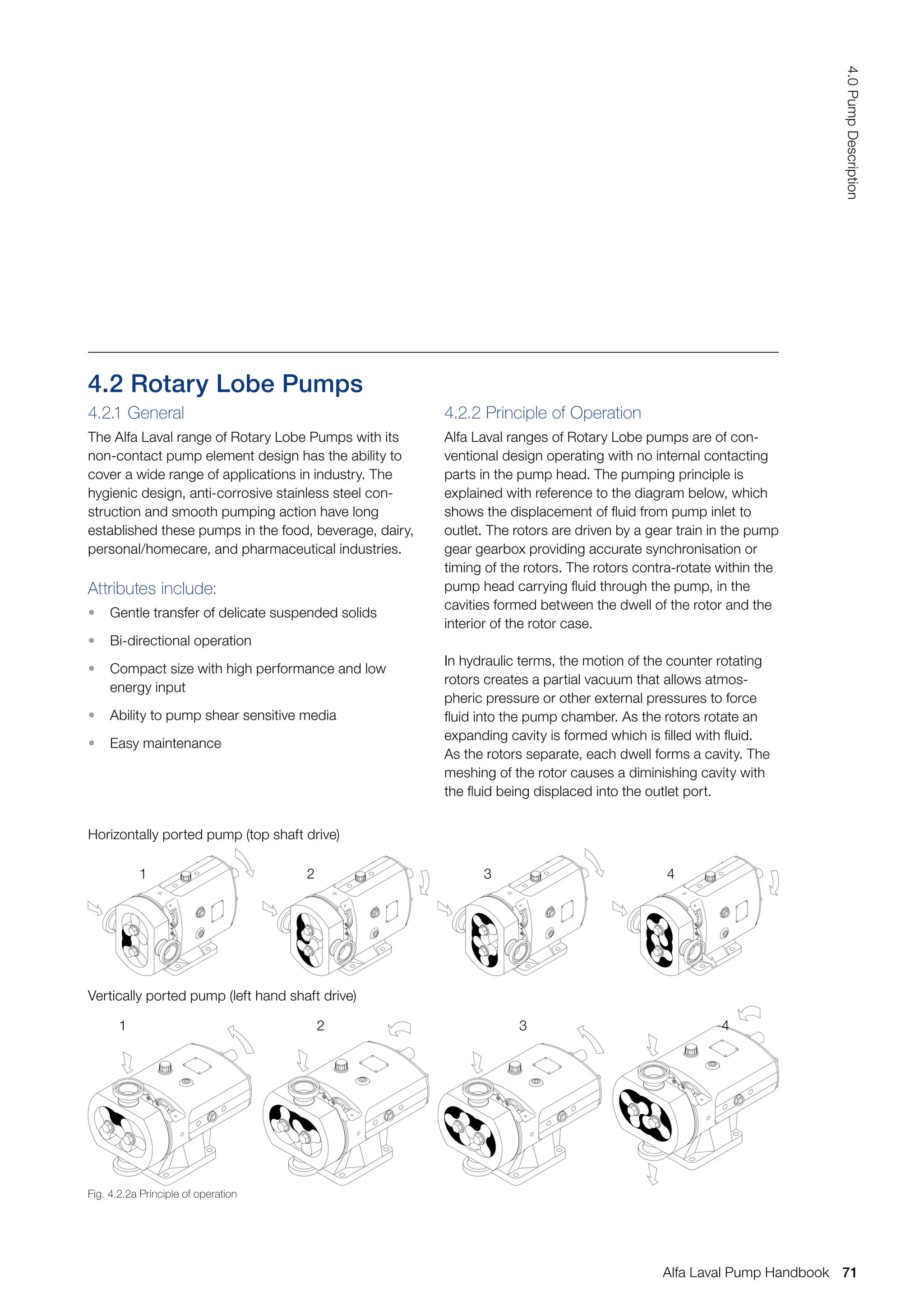 4.2 Rotary Lobe Pumps
4.2.1 General
The Alfa Laval range of Rotary Lobe Pumps with its
non-contact pump element design has the ability to
cover a wide range of applications in industry. The
hygienic design, anti-corrosive stainless steel con-
struction and smooth pumping action have long
established these pumps in the food, beverage, dairy,
personal/homecare, and pharmaceutical industries.
Attributes include:
• Gentle transfer of delicate suspended solids
• Bi-directional operation
• Compact size with high performance and low
energy input
• Ability to pump shear sensitive media
• Easy maintenance
4.2.2 Principle of Operation
Alfa Laval ranges of Rotary Lobe pumps are of con-
ventional design operating with no internal contacting
parts in the pump head. The pumping principle is
explained with reference to the diagram below, which
shows the displacement of fluid from pump inlet to
outlet. The rotors are driven by a gear train in the pump
gear gearbox providing accurate synchronisation or
timing of the rotors. The rotors contra-rotate within the
pump head carrying fluid through the pump, in the
cavities formed between the dwell of the rotor and the
interior of the rotor case.
In hydraulic terms, the motion of the counter rotating
rotors creates a partial vacuum that allows atmos-
pheric pressure or other external pressures to force
fluid into the pump chamber. As the rotors rotate an
expanding cavity is formed which is filled with fluid.
As the rotors separate, each dwell forms a cavity. The
meshing of the rotor causes a diminishing cavity with
the fluid being displaced into the outlet port.
Fig. 4.2.2a Principle of operation
Horizontally ported pump (top shaft drive)
1 2 3 4
1 2 3 4
Vertically ported pump (left hand shaft drive)
71
4.0
Pump
Description
Alfa Laval Pump Handbook
 