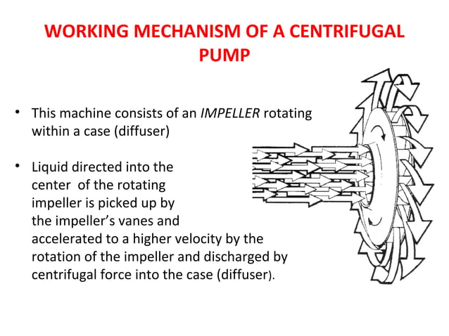 Basics Fundamentals and working Principle of Centrifugal Pump. | PPT ...