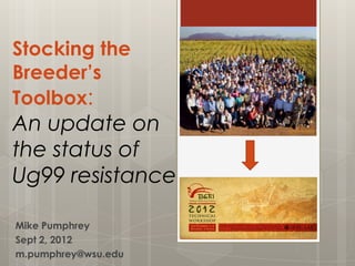 Stocking the
Breeder’s
Toolbox:
An update on
the status of
Ug99 resistance

Mike Pumphrey
Sept 2, 2012
m.pumphrey@wsu.edu
 