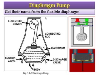 Diaphragm Pump
Get their name from the flexible diaphragm
 
