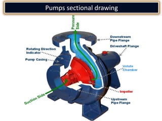 Pumps sectional drawing
 
