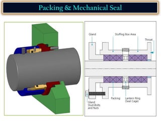 Packing & Mechanical Seal
 