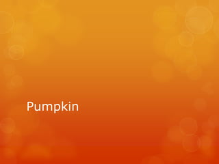 Pumpkin

 