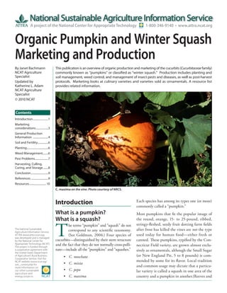 A project of the National Center for Appropriate Technology                            1-800-346-9140 • www.attra.ncat.org


Organic Pumpkin and Winter Squash
Marketing and Production
By Janet Bachmann                           This publication is an overview of organic production and marketing of the cucurbits (Cucurbitaceae family)
NCAT Agriculture                            commonly known as “pumpkins” or classified as “winter squash.” Production includes planting and
Specialist                                  soil management, weed control, and management of insect pests and diseases, as well as post-harvest
Updated by                                  protocols. Marketing looks at culinary varieties and varieties sold as ornamentals. A resource list
Katherine L. Adam                           provides related information.
NCAT Agriculture
Specialist
© 2010 NCAT


Contents
Introduction ......................1
Marketing
considerations ..................3
General Production
Information ......................4
Soil and Fertility ...............6
Planting ...............................6
Weed Management........6
Pest Problems ...................7
Harvesting, Culling,
Curing, and Storage .......8
Conclusion .........................9
References .........................9
Resources ........................ 10
                                            C. maxima on the vine. Photo courtesy of NRCS.


                                                                                                   Each species has among its types one (or more)
                                            Introduction                                           commonly called a “pumpkin.”
                                            What is a pumpkin?                                     Most pumpkins that fit the popular image of
                                            What is a squash?                                      the round, orange, 15- to 25-pound, ribbed,


                                            T
                                                    he terms “pumpkin” and “squash” do not         stringy-fleshed, seedy fruit dotting farm fields
The National Sustainable
                                                    correspond to any scientific taxonomy.         after frost has killed the vines are not the type
Agriculture Information Service,
ATTRA (www.attra.ncat.org),                         (See Goldman, 2004.) Four species of           used today for human food—either fresh or
was developed and is managed
by the National Center for                  cucurbits—distinguished by their stem structure        canned. These pumpkins, typified by the Con-
Appropriate Technology (NCAT).
The project is funded through
                                            and the fact that they do not normally cross-polli-    necticut Field variety, are grown almost exclu-
a cooperative agreement with                nate—include all the “pumpkins” and “squashes.”        sively as ornamentals, although the Small Sugar
the United States Department
of Agriculture’s Rural Business-
                                                 • C. moschata                                     (or New England Pie, 5 to 8 pounds) is com-
Cooperative Service. Visit the
NCAT website (www.ncat.org/                                                                        mended by some for its flavor. Local tradition
sarc_current.php) for                            • C. mixta
more information on                                                                                and common usage may dictate that a particu-
our other sustainable                            • C. pepo                                         lar variety is called a squash in one area of the
agriculture and
energy projects.                                 • C. maxima                                       country and a pumpkin in another.(Reeves and
 