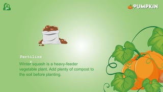 Fertilize
r
Winter squash is a heavy-feeder
vegetable plant. Add plenty of compost to
the soil before planting.
 