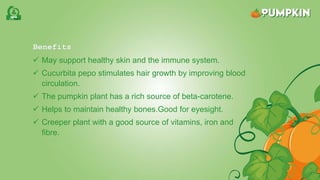 Benefits
 May support healthy skin and the immune system.
 Cucurbita pepo stimulates hair growth by improving blood
circulation.
 The pumpkin plant has a rich source of beta-carotene.
 Helps to maintain healthy bones.Good for eyesight.
 Creeper plant with a good source of vitamins, iron and
fibre.
 