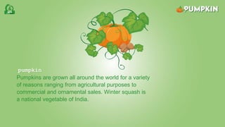 pumpkin
Pumpkins are grown all around the world for a variety
of reasons ranging from agricultural purposes to
commercial and ornamental sales. Winter squash is
a national vegetable of India.
 