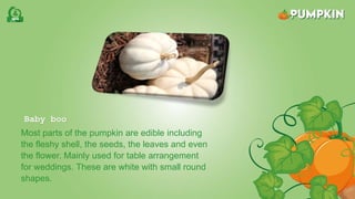 Baby boo
Most parts of the pumpkin are edible including
the fleshy shell, the seeds, the leaves and even
the flower. Mainly used for table arrangement
for weddings. These are white with small round
shapes.
 