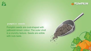 pumpkin seeds
Pumpkin seeds are oval-shaped with
yellowish-brown colour. The outer shell
is a crunchy texture. Seeds are edible
with nuts taste.
 
