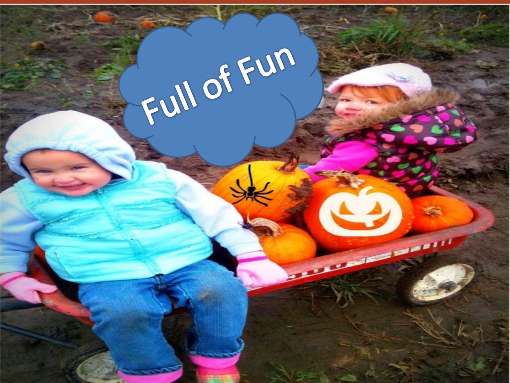 Pumpkin farm Cambridge