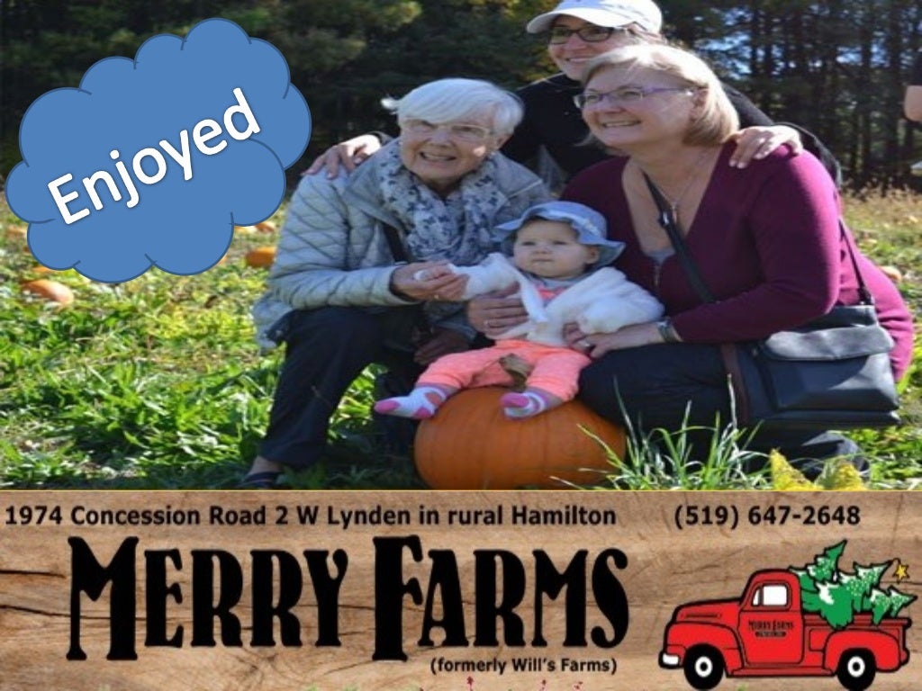 Pumpkin farm Cambridge