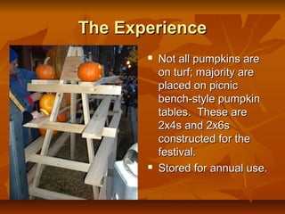 The Experience
          Not all pumpkins are
           on turf; majority are
           placed on picnic
           bench-style pumpkin
           tables. These are
           2x4s and 2x6s
           constructed for the
           festival.
          Stored for annual use.
 
