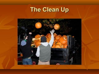 The Clean Up
 