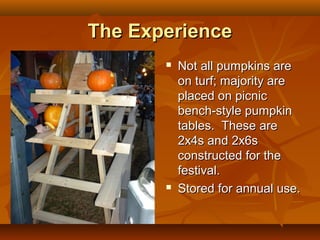 The Experience
          Not all pumpkins are
           on turf; majority are
           placed on picnic
           bench-style pumpkin
           tables. These are
           2x4s and 2x6s
           constructed for the
           festival.
          Stored for annual use.
 