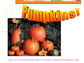 http://www.hort.purdue.edu/ext/senior/vegetabl/pumpkin1.htm Pumpkins! 