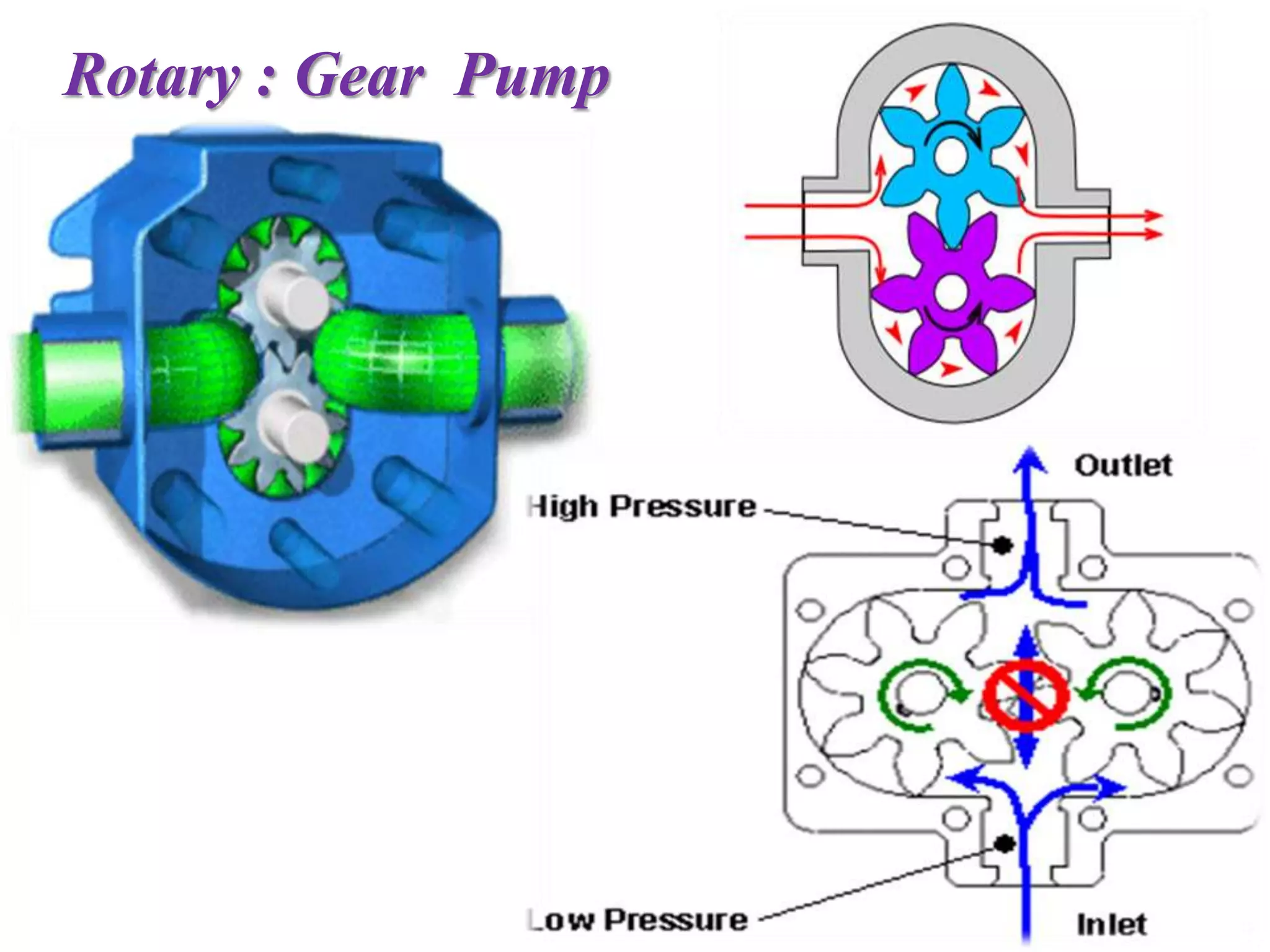 Rotary : Gear Pump
 