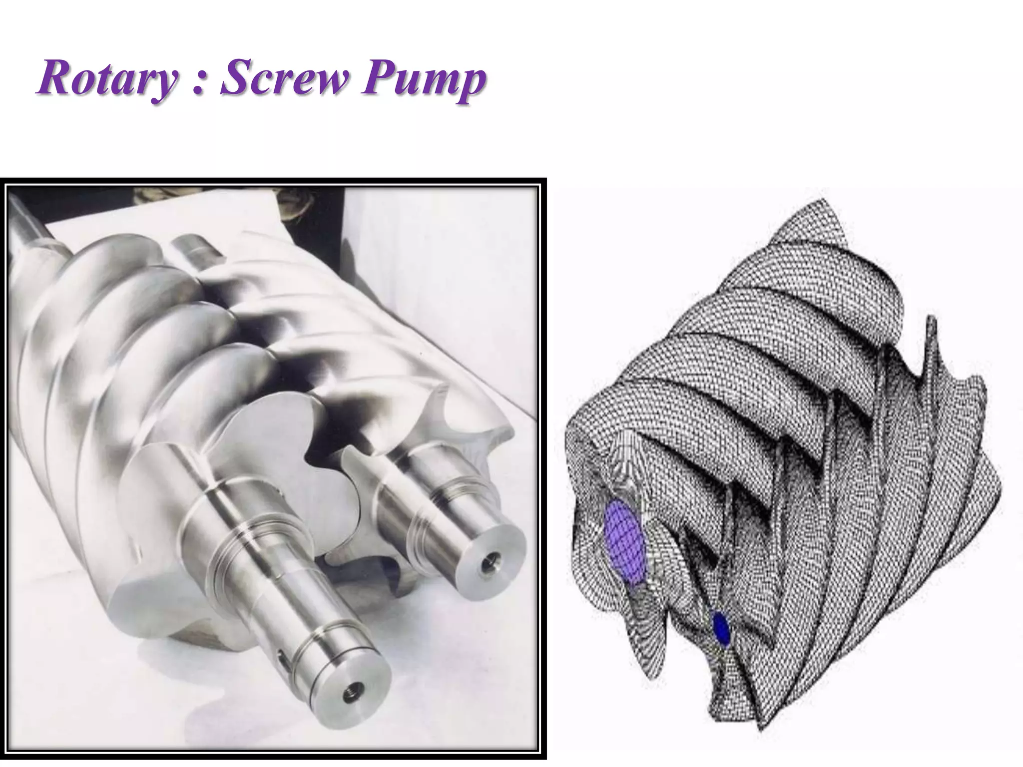 Rotary : Screw Pump
 