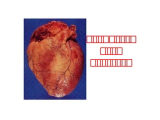 ‫ه‬‫ه‬‫ه‬‫ه‬‫ه‬‫ه‬‫ه‬‫ه‬‫ه‬
‫ه‬‫ه‬‫ه‬‫ه‬
‫ه‬‫ه‬‫ه‬‫ه‬‫ه‬‫ه‬‫ه‬‫ه‬
 