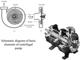 Schematic diagram of basic
elements of centrifugal
pump
 