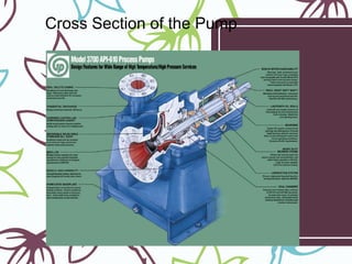 Cross Section of the Pump
 