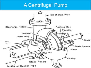 Pumps and piping | PPTX
