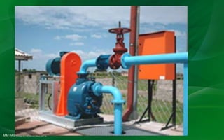 MM HASAN,LECTURER,AIE,HSTU
 