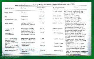 MM HASAN,LECTURER,AIE,HSTU
 